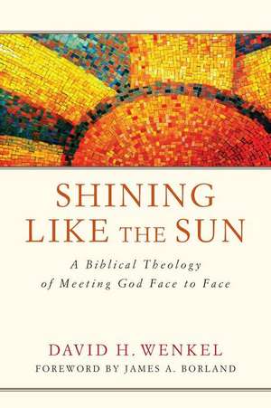 Shining Like the Sun: A Biblical Theology of Meeting God Face to Face de David H. Wenkel