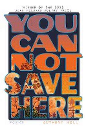 You Cannot Save Here de Anthony Moll