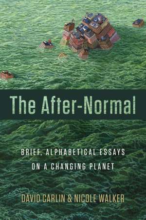 The After-Normal de David Carlin