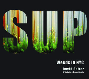 Spontaneous Urban Plants: Weeds in NYC de David Seiter