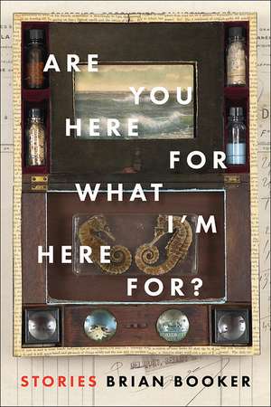 Are You Here For What Im Here For? de Brian Booker