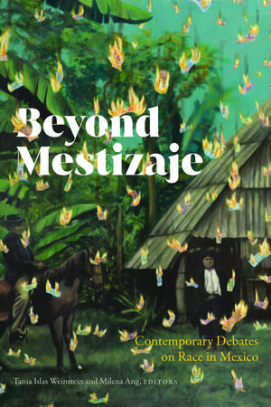 Beyond Mestizaje: Contemporary Debates on Race in Mexico de Milena Ang