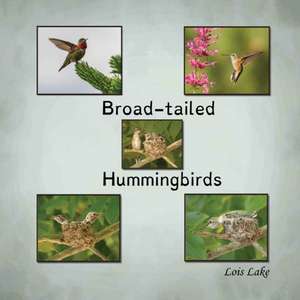 Broad-tailed Hummingbirds de Lois Lake