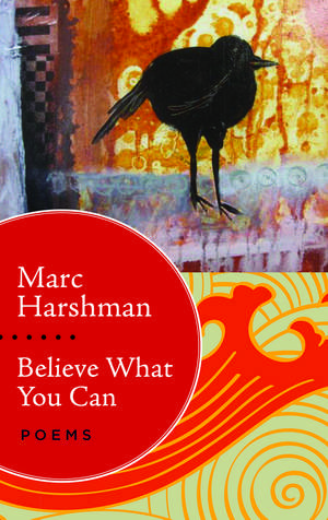 Believe What You Can: Poems de Marc Harshman