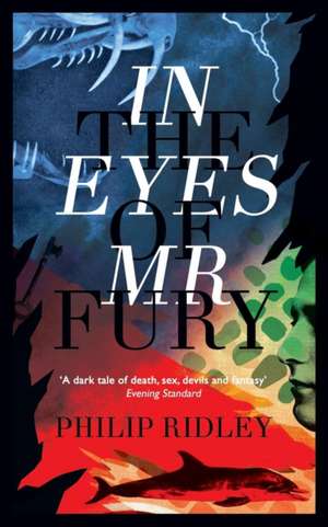 In the Eyes of Mr Fury de Philip Ridley