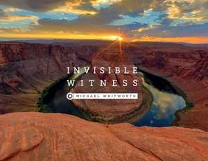 Invisible Witness de Michael Whitworth