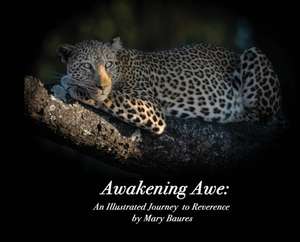 Awakening Awe de Mary Baures