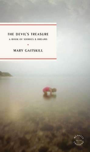 The Devil's Treasure de Mary Gaitskill