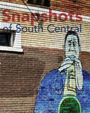 Snapshots of South Central de Dstl Arts