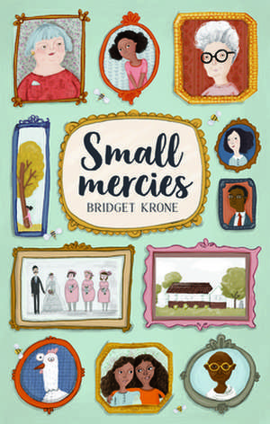 Small Mercies de Bridget Krone