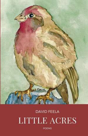 Little Acres de David Feela
