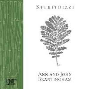 Kitkitdizzi de John Brantingham