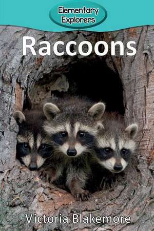 Raccoons de Victoria Blakemore