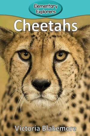 Cheetahs de Victoria Blakemore