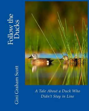 Follow the Ducks de Gini Graham Scott