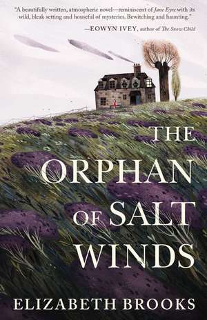 The Orphan of Salt Winds de Elizabeth Brooks