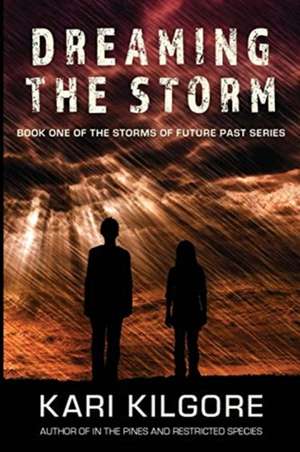 Dreaming the Storm de Kari Kilgore