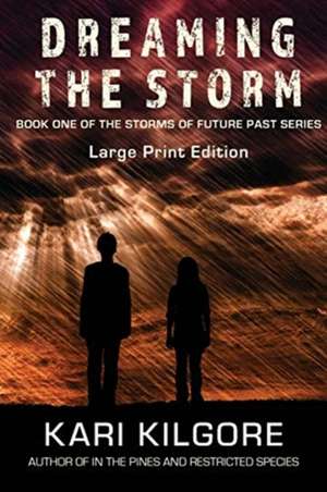 Dreaming the Storm de Kari Kilgore