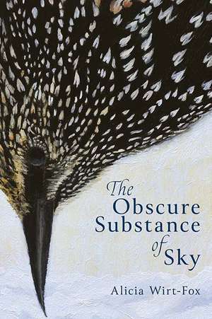 The Obscure Substance of Sky de Alicia Wirt-Fox