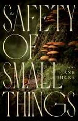 The Safety of Small Things de Jane Hicks