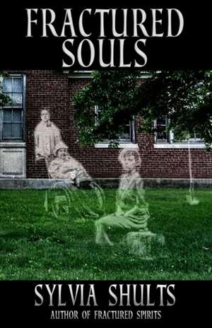 Fractured Souls: More Hauntings at the Peoria State Hospital de Sylvia Shults