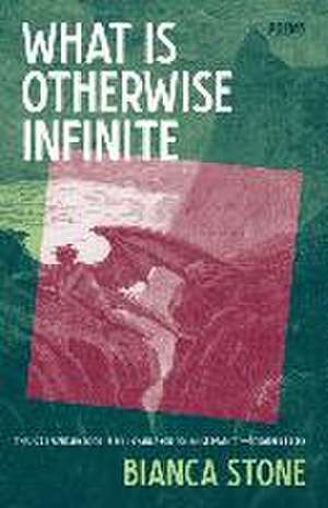 What Is Otherwise Infinite: Poems de Bianca Stone