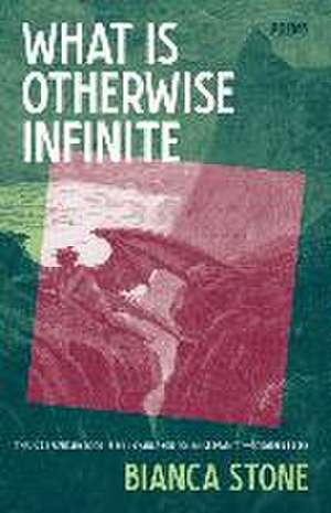 What Is Otherwise Infinite de Bianca Stone