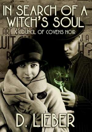 In Search of a Witch's Soul de D. Lieber