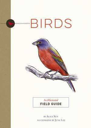 Birds: An Illustrated Field Guide de Alice Sun