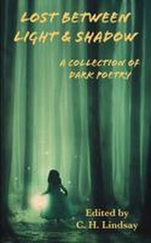 Lost Between Light & Shadow