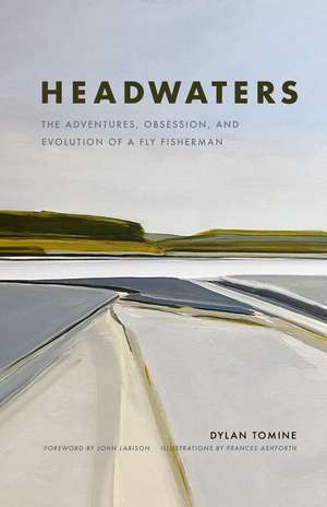 Headwaters de Dylan Tomine