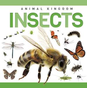 Insects de Rebecca Phillips-Bartlett