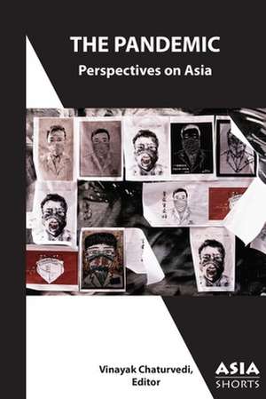 The Pandemic – Perspectives on Asia de Vinayak Chaturvedi