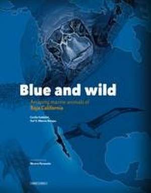 Blue and Wild: Amazing Marine Animals of Baja California de Yuri Albores Barajas