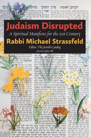 Judaism Disrupted de Michael Strassfeld