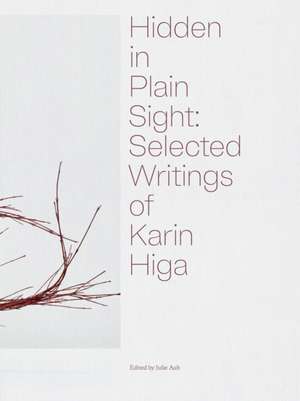 Hidden in Plain Sight de Julie Ault