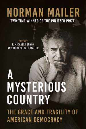 A Mysterious Country de Norman Mailer