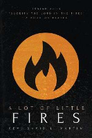 A Lot Of Little Fires de David L Martin