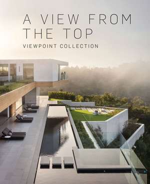 A View from the Top de Mike Kelley