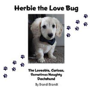 Herbie the Love Bug de Brandi Brandt