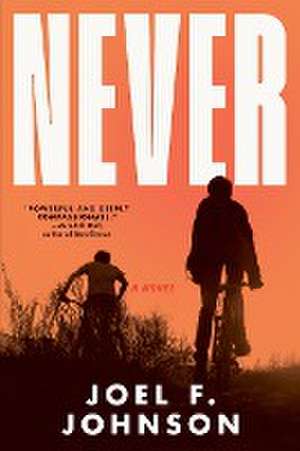 Never de Joel F. Johnson