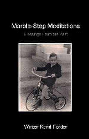 Marble-Step Meditations de Rand R Forder