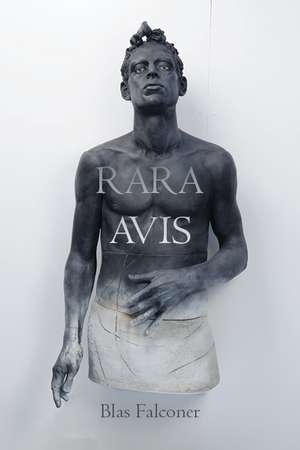 Rara Avis de Blas Falconer