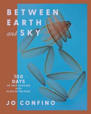 Between Earth and Sky de Jo Confino