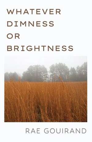 Whatever Dimness or Brightness de Rae Gouirand