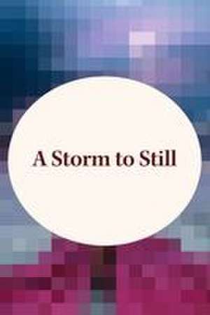 A Storm to Still de Roseanna M White