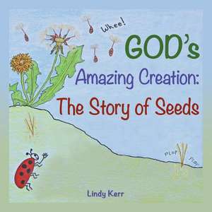 God's Amazing Creation de Kerr, Lindy