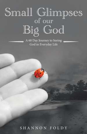 Small Glimpses of Our Big God de Shannon Foldy