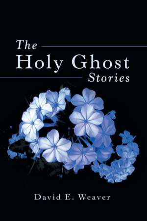 The Holy Ghost Stories de David E. Weaver