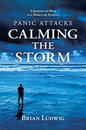 Panic Attacks Calming the Storm de Brian Ludwig